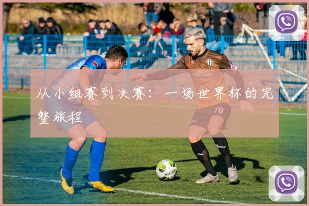 从小组赛到决赛：一场世界杯的完整旅程