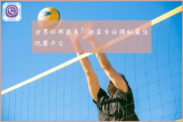 世界杯那能看？独家专访揭秘最佳观赛平台