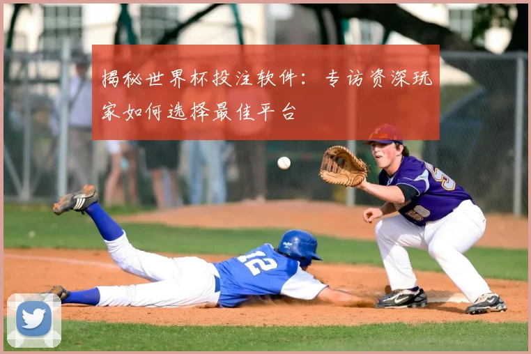 揭秘世界杯投注软件：专访资深玩家如何选择最佳平台