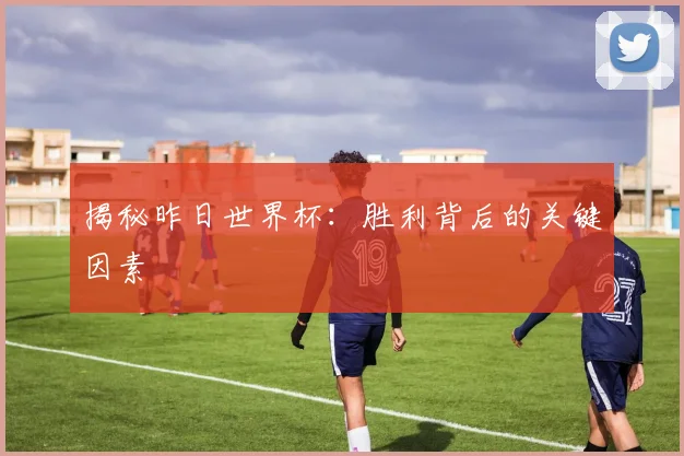 揭秘昨日世界杯:胜利背后的关键因素