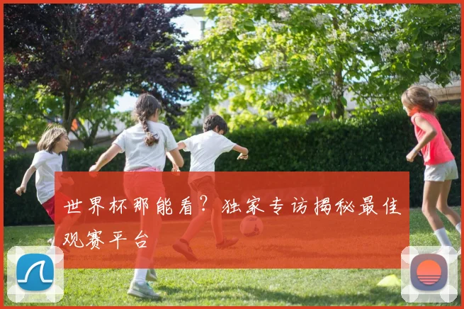 世界杯那能看？独家专访揭秘最佳观赛平台