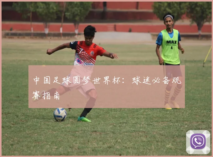中国足球圆梦世界杯：球迷必备观赛指南